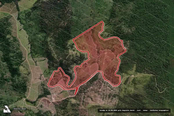 Imagem de satélite de Infração da Flora em Altamira - PA