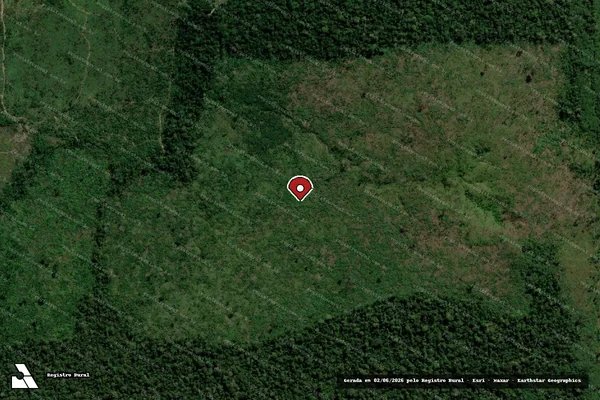 Imagem de satélite de Infração da Flora em Porto Velho - RO (marcador da localização)