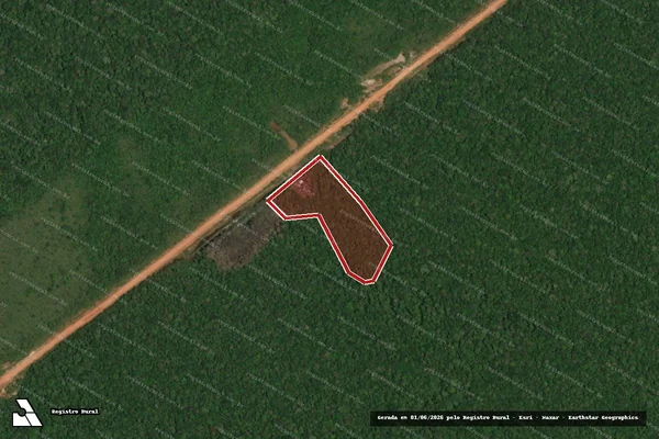 Imagem de satélite de Infração da Flora em Borba - AM