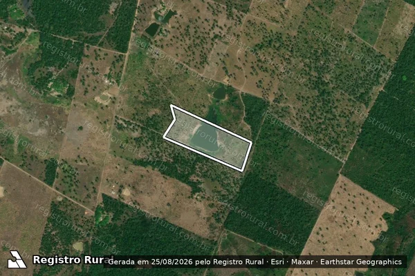 Imagem de satélite de Infração da Flora em Santa Inês - MA