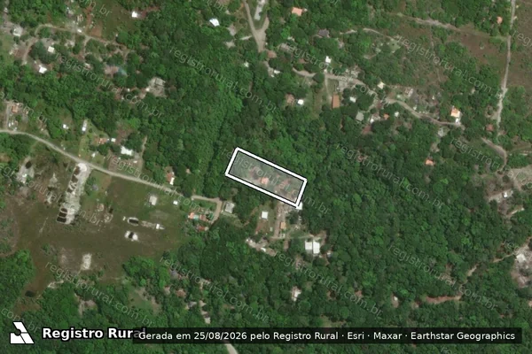 Imagem de satélite de Infração da Flora em Porto Seguro - BA