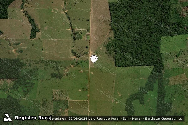 Imagem de satélite de Desmatamento em Campo Novo de Rondônia - RO (marcador da localização)