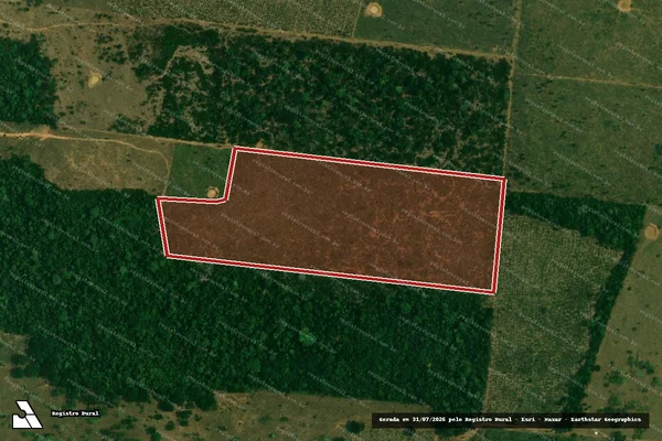 Imagem de satélite de Infração da Flora em Porto Velho - RO