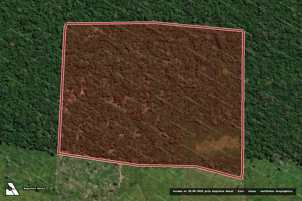 Imagem de satélite — Embargo IBAMA — Infração da Flora — Rorainópolis/RR