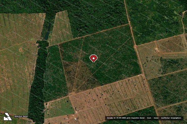 Imagem de satélite de Infração da Flora em Marcelândia - MT (marcador da localização)