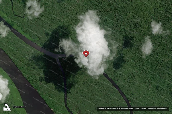 Imagem de satélite — Embargo IBAMA — Infração Ambiental — Bagre/PA