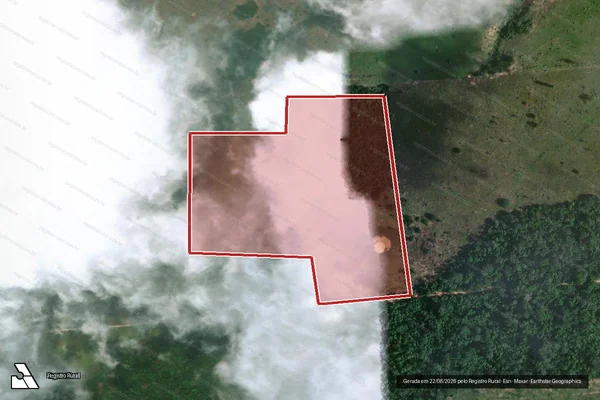 Imagem de satélite de Infração da Flora em Brasil Novo - PA