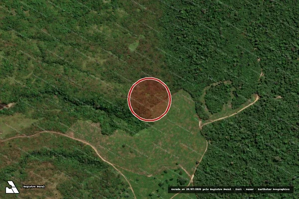 Imagem de satélite de Infração Ambiental em Ulianópolis - PA