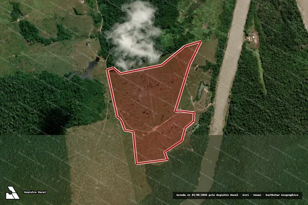 Imagem de satélite de Infração da Flora em Porto Velho - RO