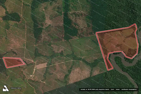 Imagem de satélite de Infração da Flora em Novo Progresso - PA