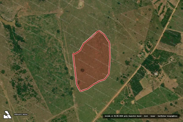 Imagem de satélite de Desmatamento em Porto Velho - RO
