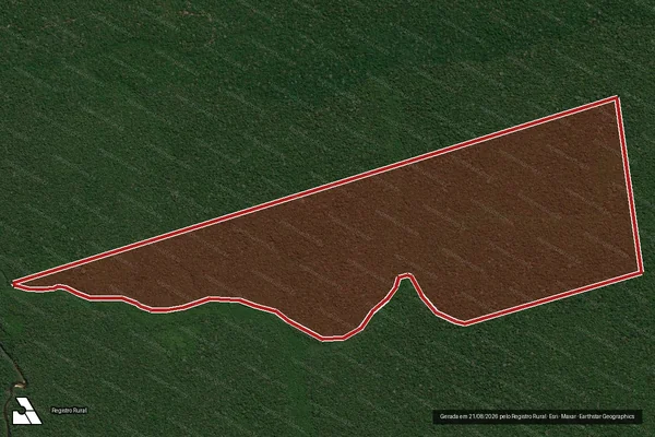 Imagem de satélite de Infração da Flora em Novo Aripuanã - AM