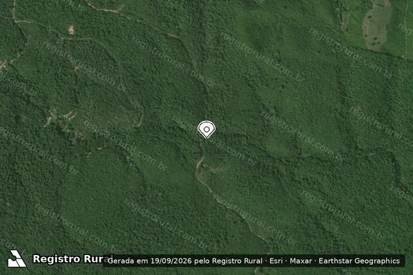 Imagem de satélite — Embargo IBAMA — Infração Ambiental - Santarém/PA