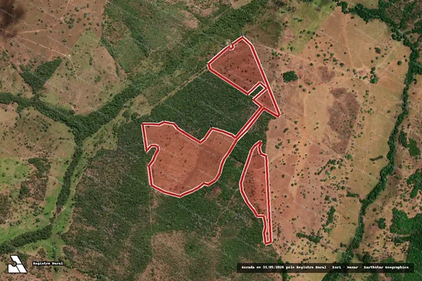 Imagem de satélite de Infração Ambiental em Barrolândia - TO