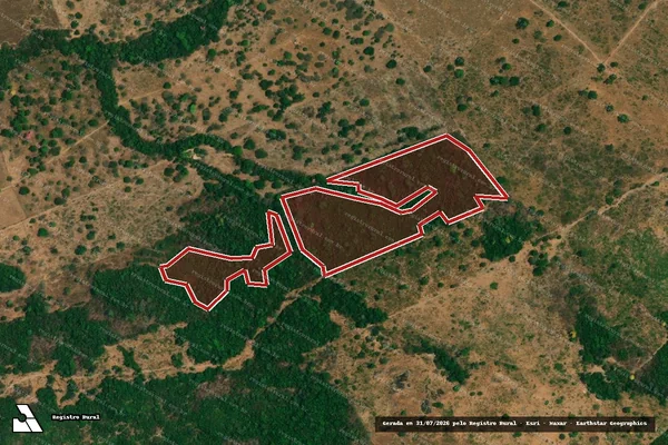 Imagem de satélite — Embargo IBAMA — Infração da Flora - Terra Nova Do Norte/MT