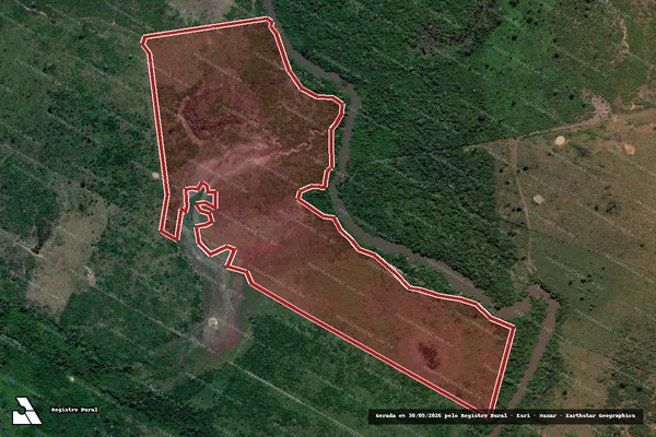 Imagem de satélite de Infração da Flora em São Félix do Xingu - PA