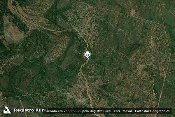 Imagem de satélite de Infração Ambiental em Cáceres - MT (marcador da localização)
