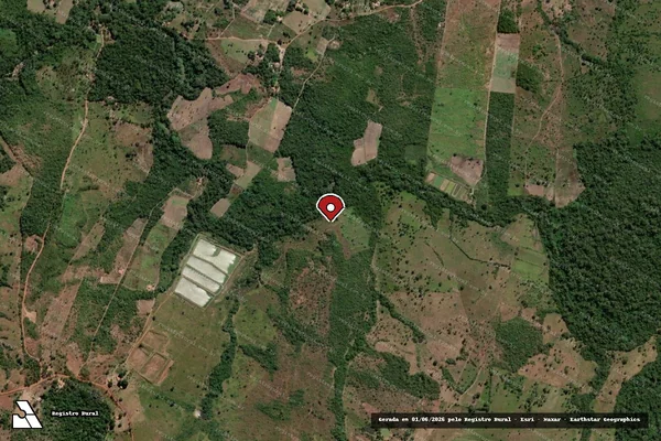 Imagem de satélite — Embargo IBAMA — Infração Ambiental - Bom Jesus das Selvas/MA