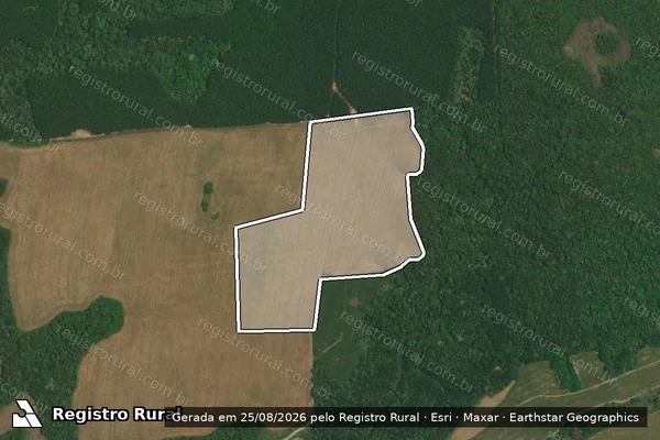 Imagem de satélite de Infração Ambiental em Lapa - PR