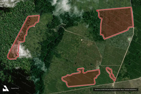 Imagem de satélite de Infração da Flora em Medicilândia - PA