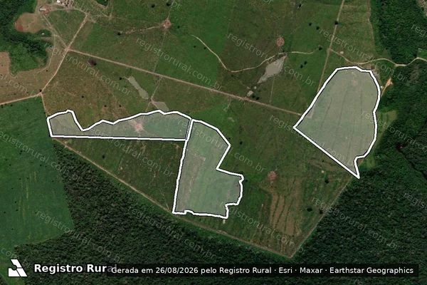 Imagem de satélite de Infração da Flora em Santarém - PA