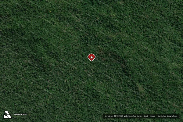 Imagem de satélite de Infração Ambiental em São Félix do Xingu - PA (marcador da localização)