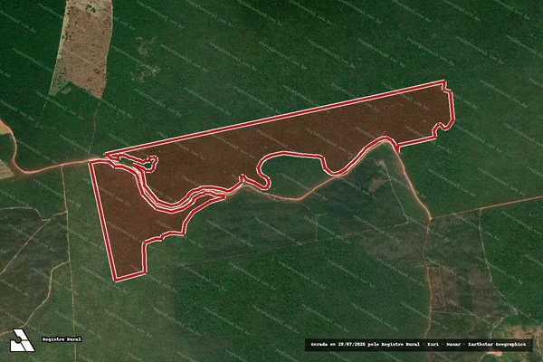 Imagem de satélite de Infração da Flora em Dom Eliseu - PA