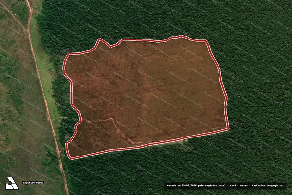 Imagem de satélite de Infração da Flora em Novo Aripuanã - AM