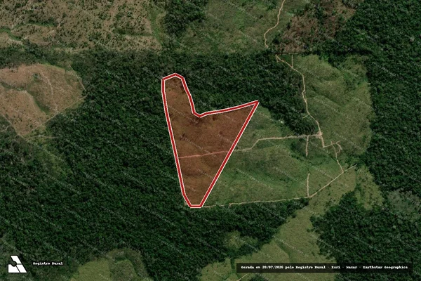 Imagem de satélite — Embargo IBAMA — Infração da Flora - Colniza/MT