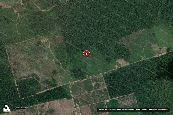 Imagem de satélite de Infração da Flora em Novo Progresso - PA (marcador da localização)