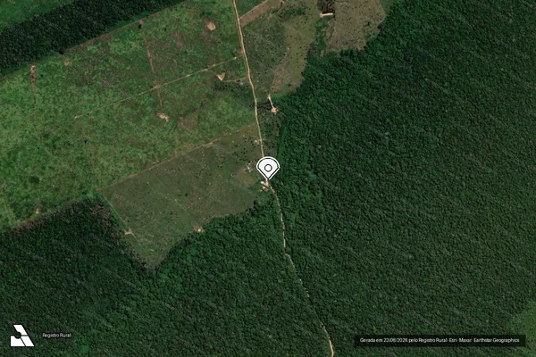 Imagem de satélite de Infração da Flora em Porto Velho - RO (marcador da localização)
