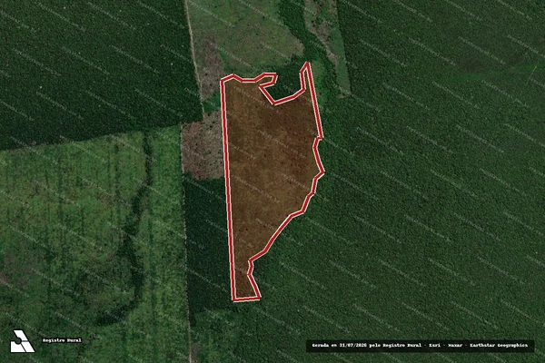 Imagem de satélite de Infração da Flora em Canutama - AM