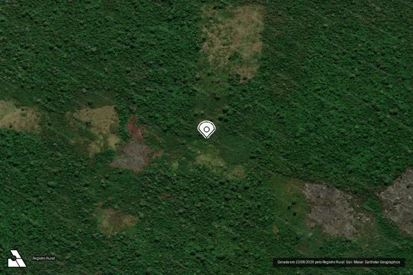 Imagem de satélite de Infração Ambiental em São Félix do Xingu - PA (marcador da localização)