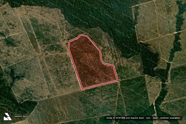 Imagem de satélite de Infração da Flora em Altamira - PA