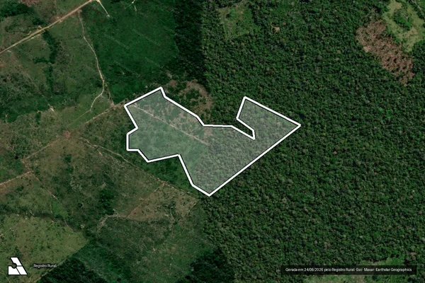 Imagem de satélite de Infração Ambiental em Apuí - AM (marcador da localização)