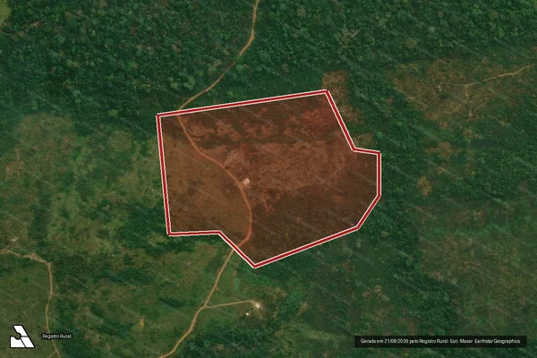 Imagem de satélite de Infração Ambiental em Rurópolis - PA
