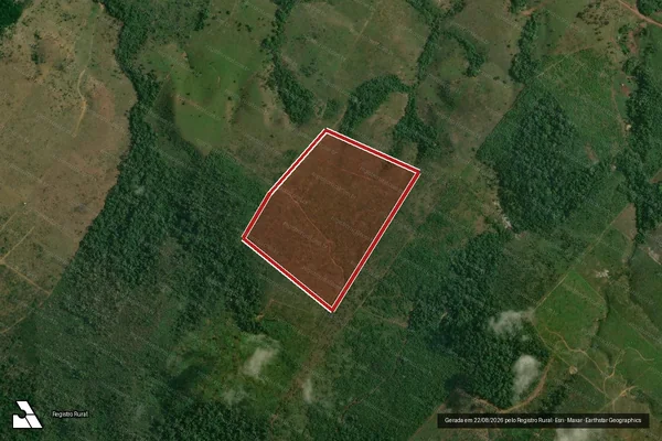 Imagem de satélite de Infração da Flora em Apuí - AM