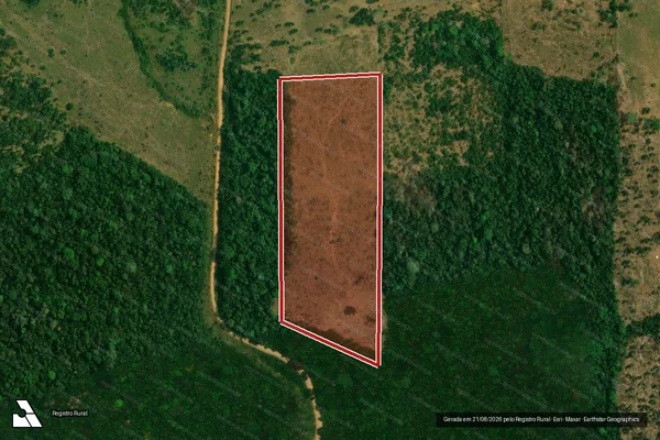 Imagem de satélite de Infração da Flora em Campo Novo de Rondônia - RO