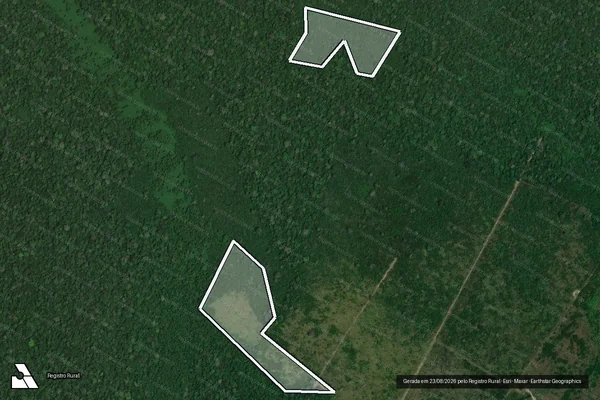 Imagem de satélite de Infração da Flora em Lábrea - AM