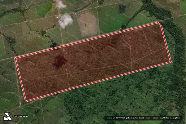 Imagem de satélite de Infração da Flora em Novo Progresso - PA