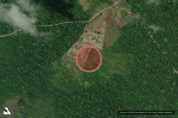 Imagem de satélite de Desmatamento em Tartarugalzinho - AP