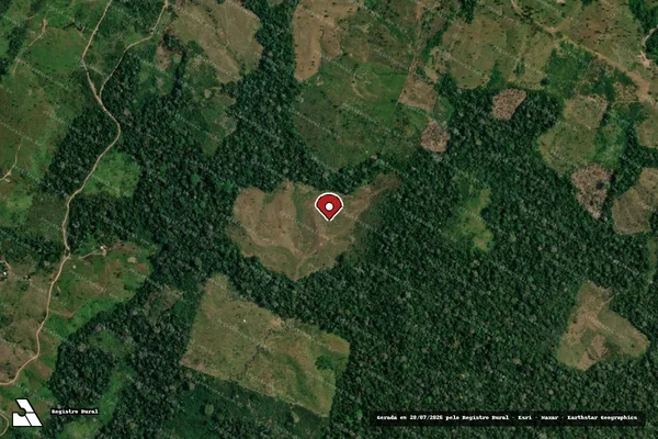 Imagem de satélite de Infração da Flora em Feijó - AC (marcador da localização)