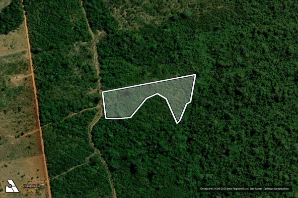 Imagem de satélite de Infração da Flora em Paranaíta - MT