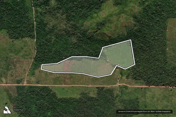 Imagem de satélite de Infração da Flora em Altamira - PA