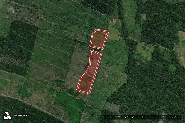 Imagem de satélite de Infração da Flora em Humaitá - AM