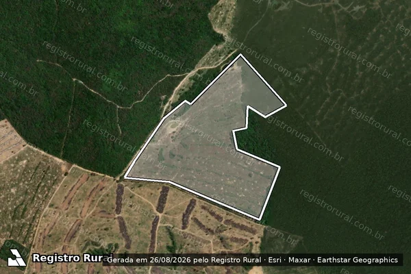 Imagem de satélite de Infração da Flora em Princesa Isabel - PB