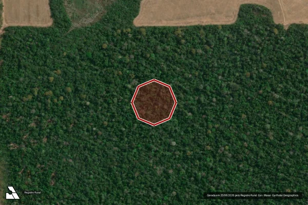 Imagem de satélite — Embargo Ambiental - Pimenteiras do Oeste/RO