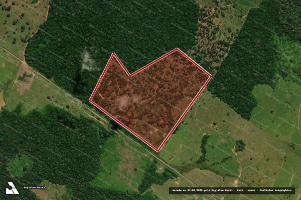 Imagem de satélite — Embargo IBAMA — Infração da Flora - Brasiléia/AC