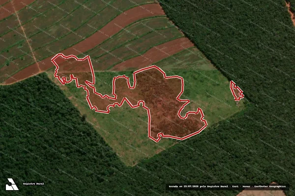 Imagem de satélite de Infração da Flora em Anaurilândia - MS