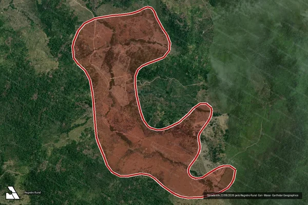 Imagem de satélite de Infração da Flora em Novo Progresso - PA